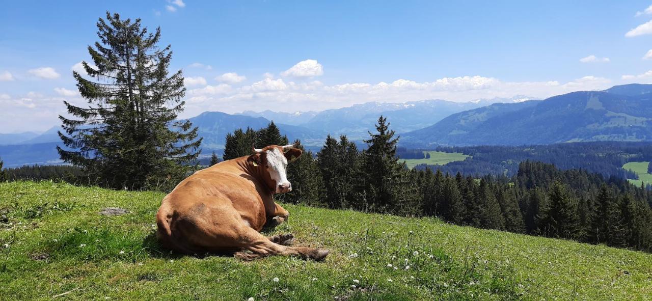 Ferienwohnung Boeck, Wengen Im Allgaeu Weitnau Ngoại thất bức ảnh